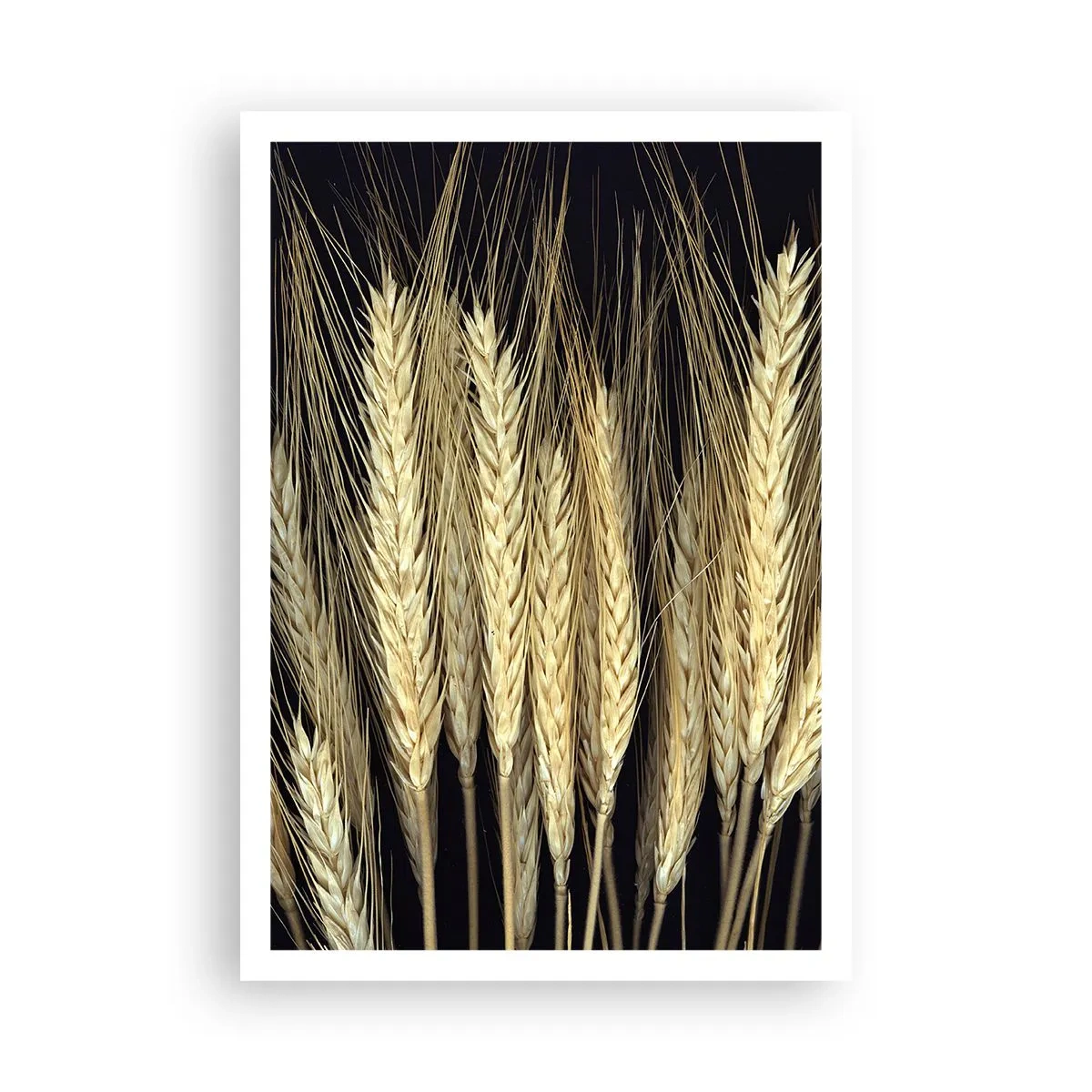 Poster - Rustieke magie - 70x100 cm