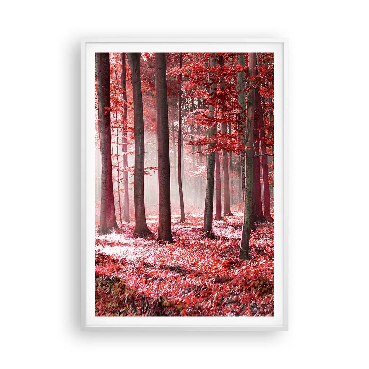Poster in een witte lijst - Rood is net zo mooi - 70x100 cm