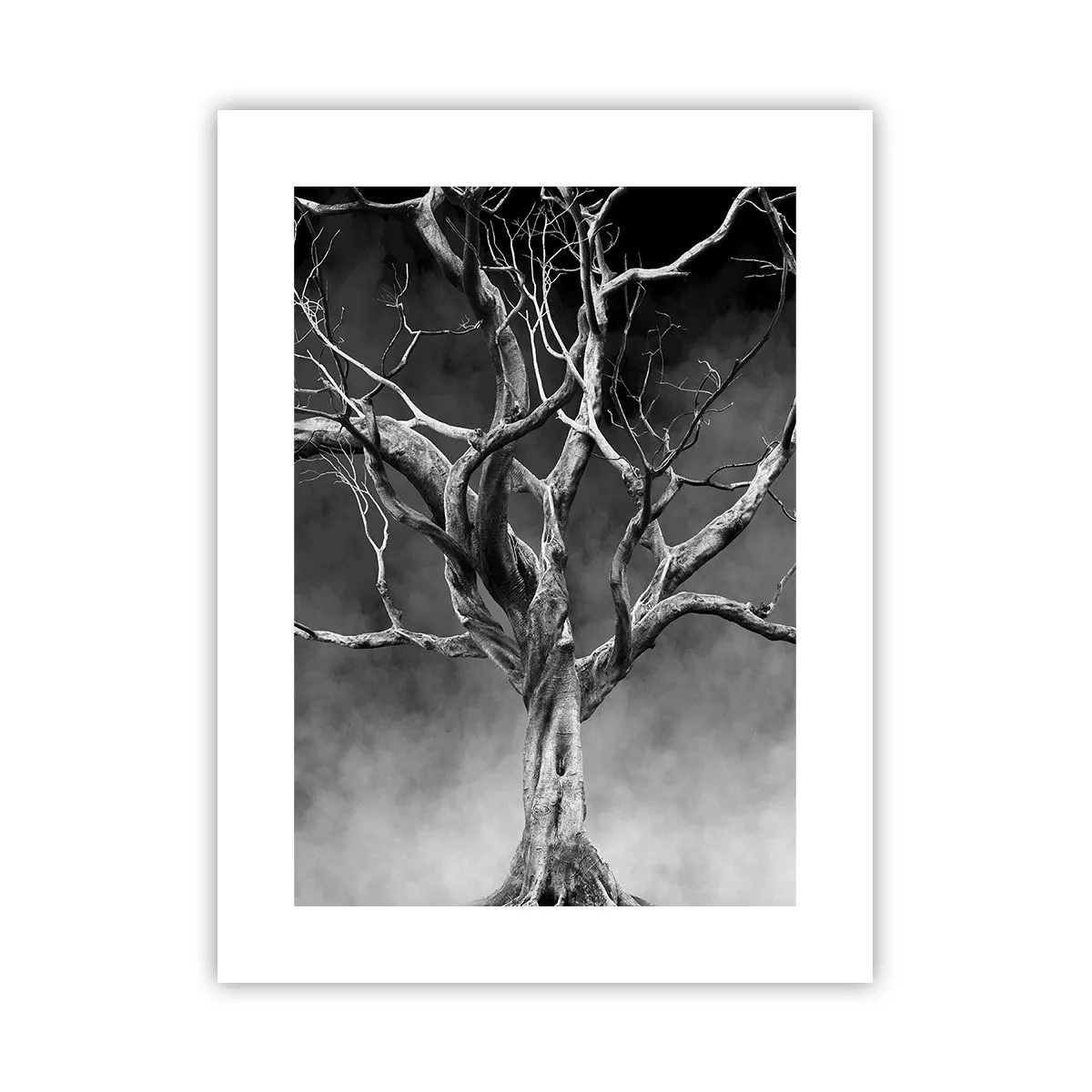Poster - Oorspronkelijk en heilig - 30x40 cm