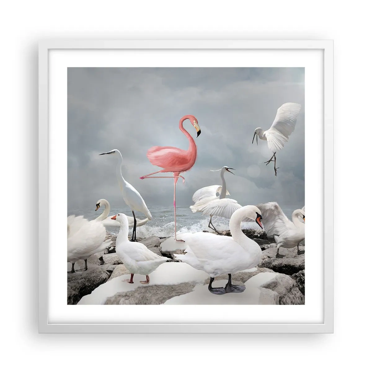 Poster in een witte lijst - Hoe ben ik hier terecht gekomen? - 50x50 cm