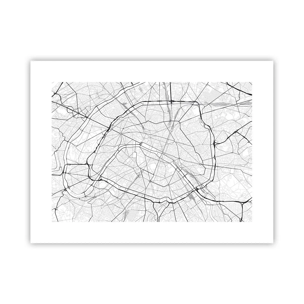 Poster - Parijs bloem - 40x30 cm