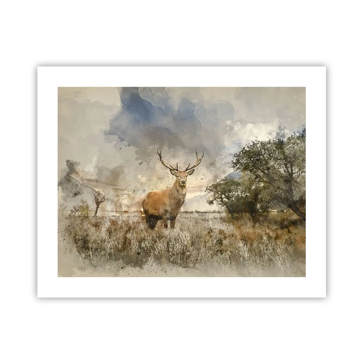 Poster - Waardigheid - kracht - waardigheid - 50x40 cm