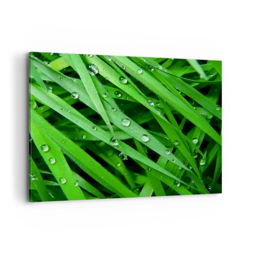 Schilderen op canvas - Speel groen - 100x70 cm