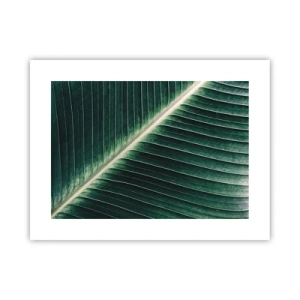 Poster - Het ritme van de natuur - 40x30 cm