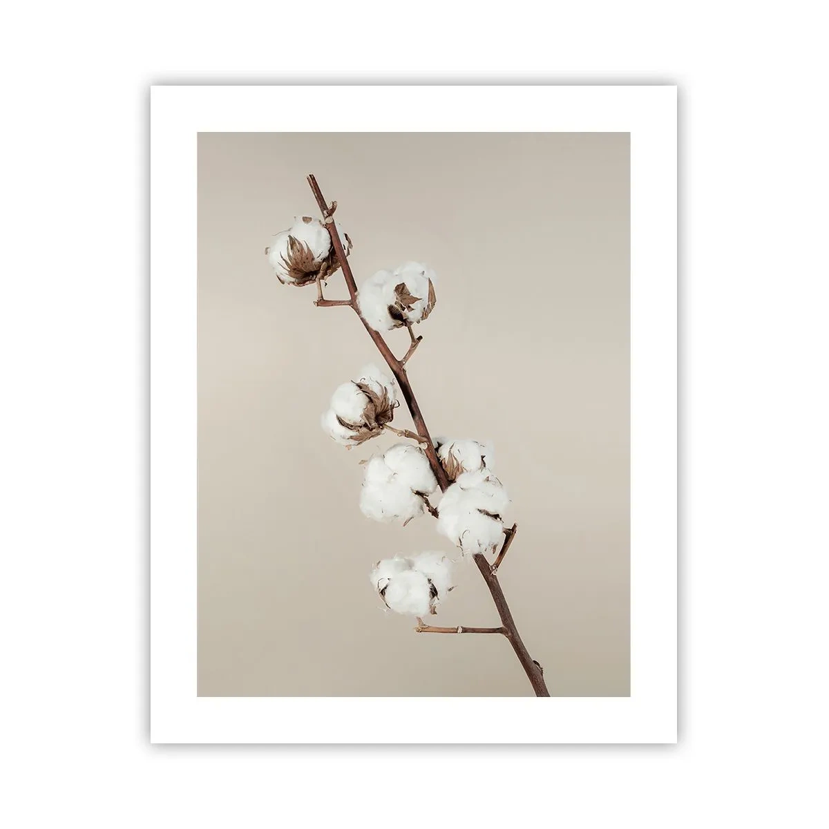 Poster - Aan de bron van zachtheid - 40x50 cm