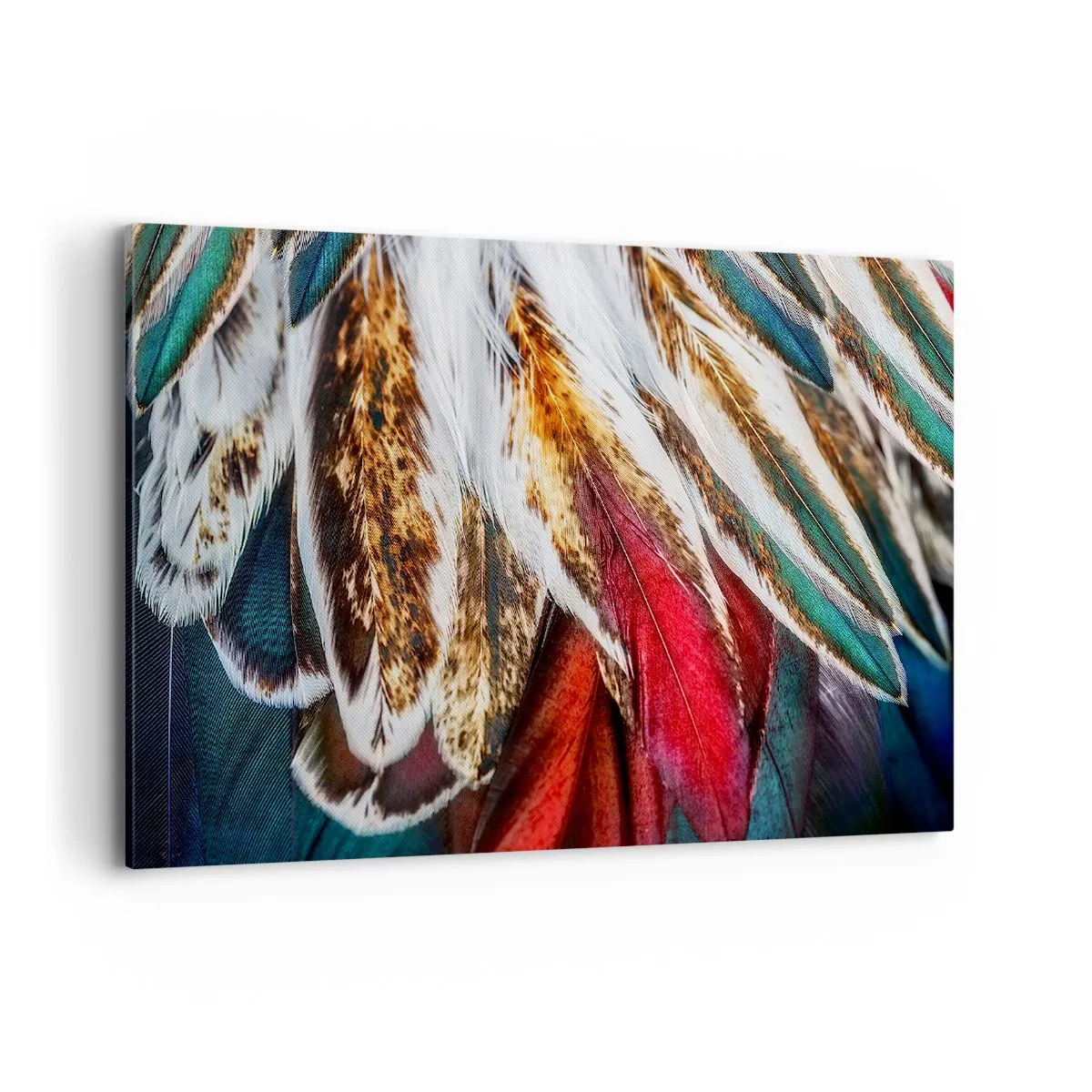 Schilderen op canvas - Geheimen van de vlucht - 120x80 cm