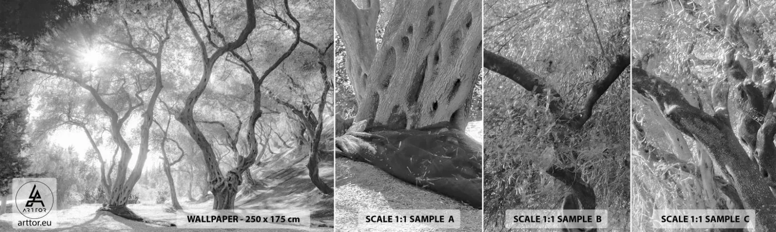 Fotobehang Staaltje Standard Eco - In de olijfboomgaard - Woud, Winter, Bomen - 100x30 cm