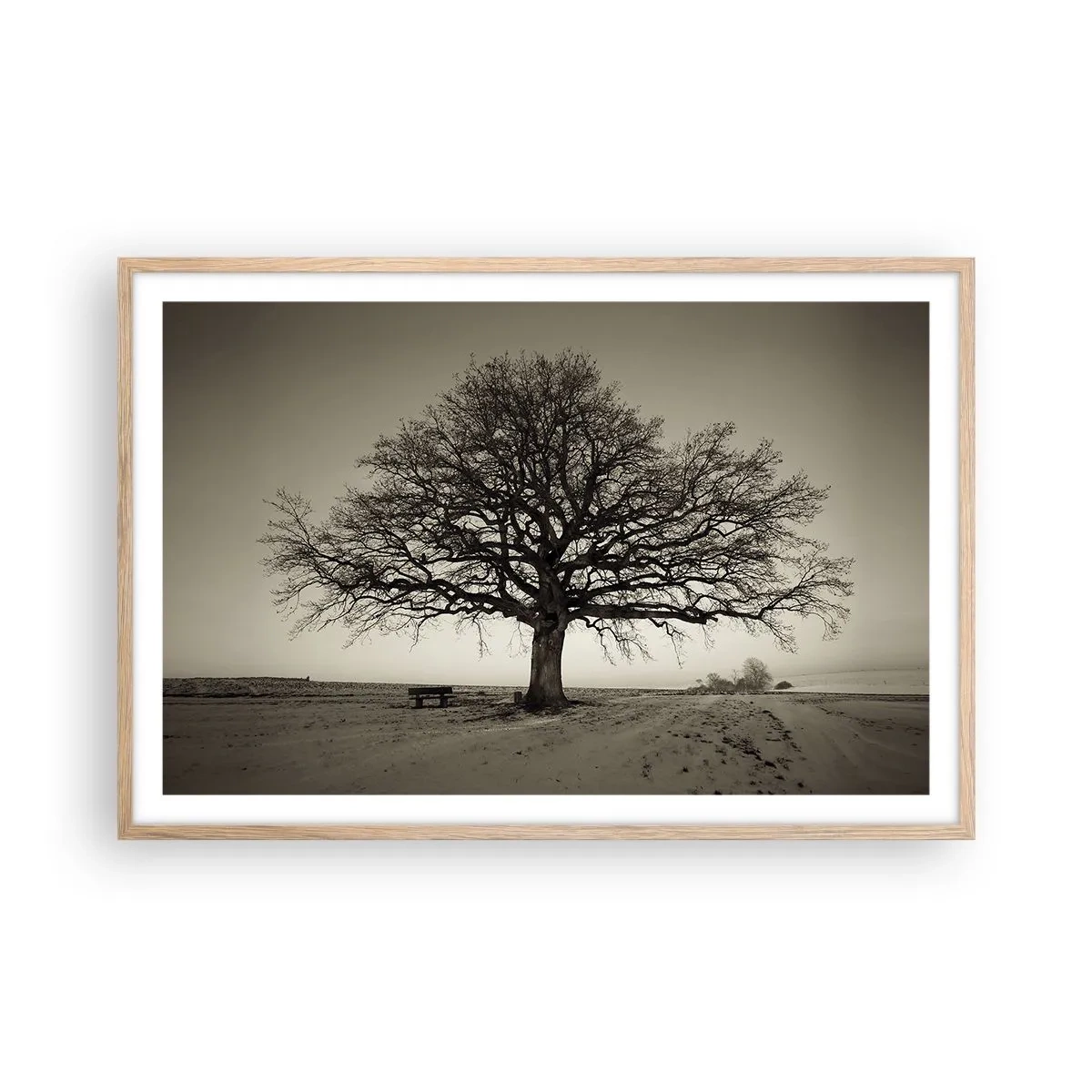 Een poster in een licht eiken lijst - Van hier tot in de eeuwigheid - 91x61 cm