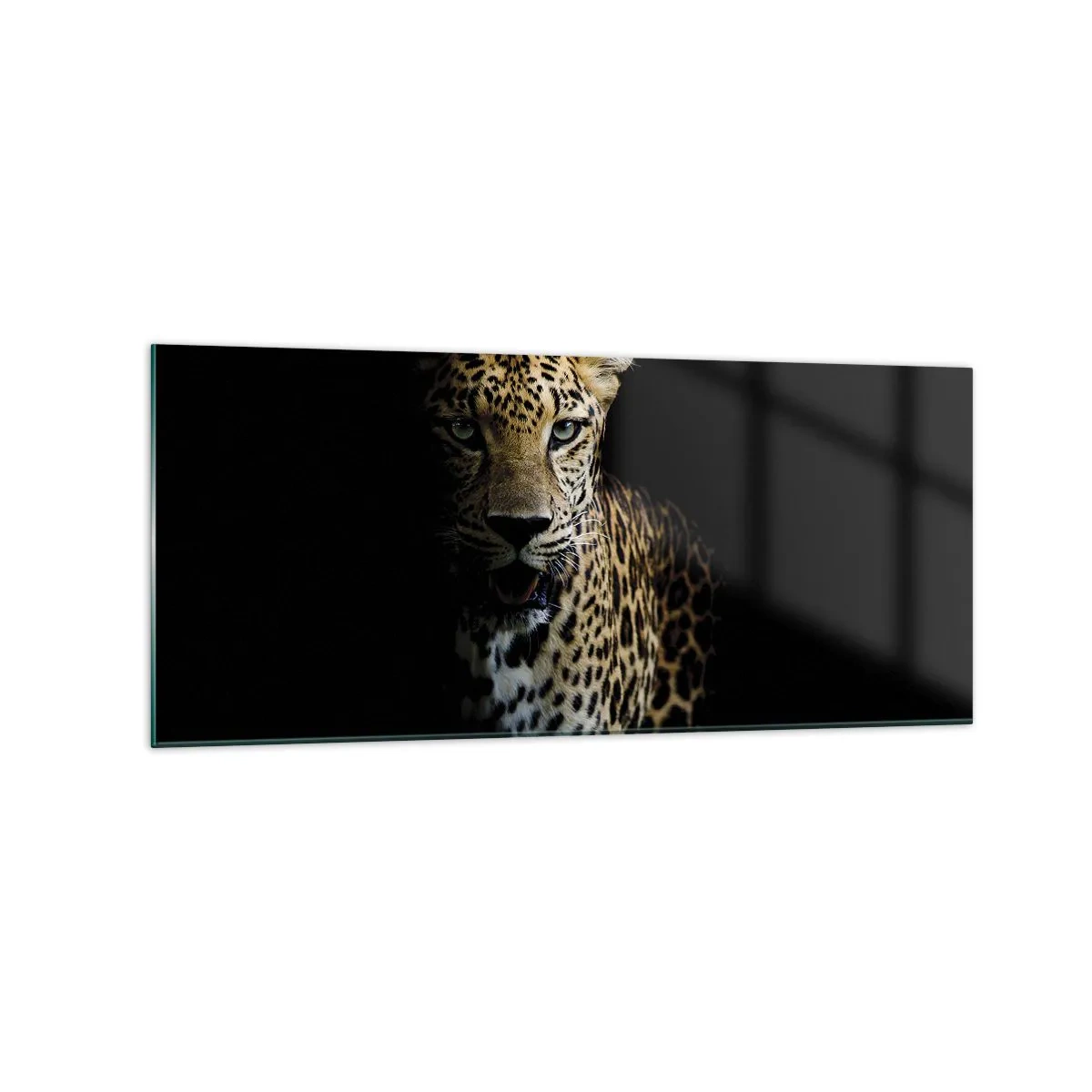 Schilderen op glas - Donkere schoonheid - 120x50 cm