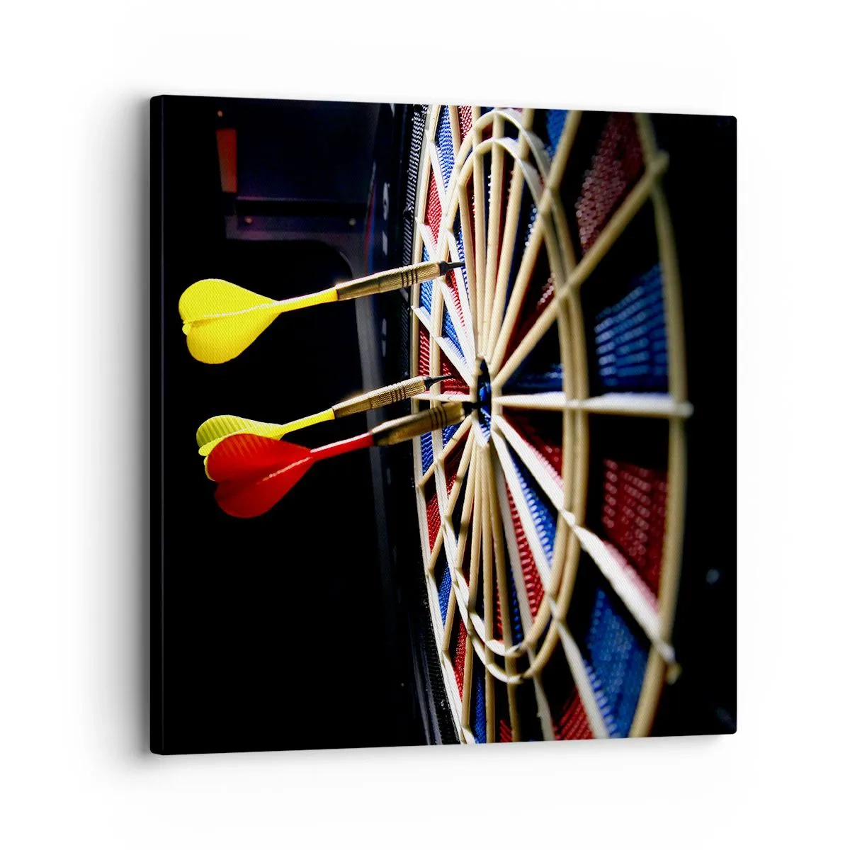 Schilderen op canvas - De spikerop de kop - 30x30 cm