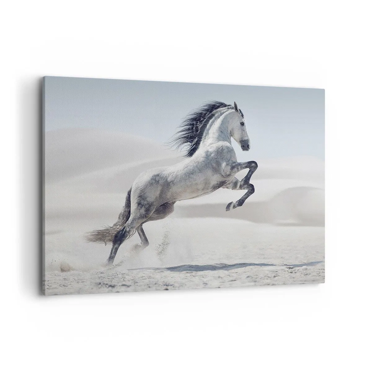 Schilderen op canvas - Arabische prins - 120x80 cm