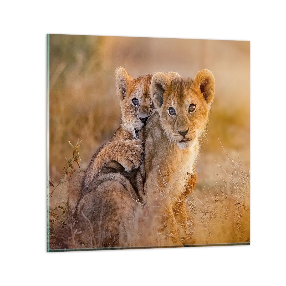 Schilderen op glas - Niet storen! We hebben plezier - 60x60 cm