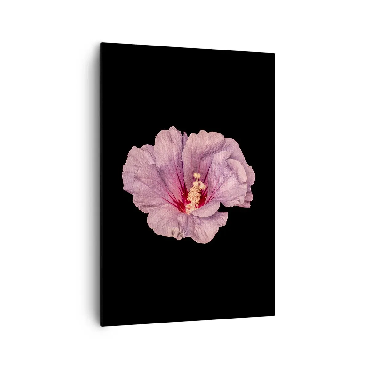 Schilderen op canvas - Recht in het hart - 70x100 cm