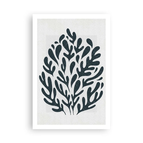Poster - Vormen van de natuur - 61x91 cm