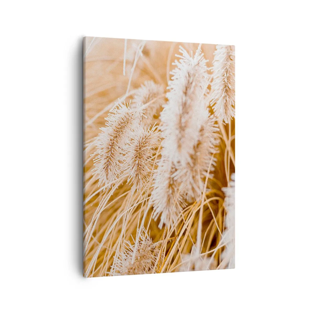 Schilderen op canvas - Het gouden geritsel van het gras - 50x70 cm