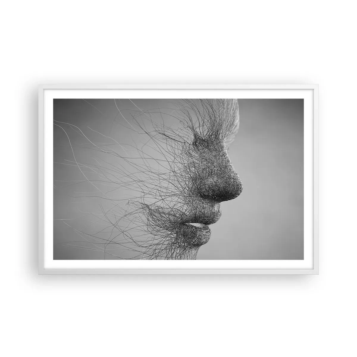 Poster in een witte lijst - De geest van de wind - 91x61 cm