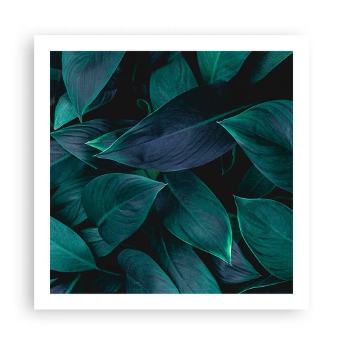 Poster - Groen op zichzelf - 60x60 cm