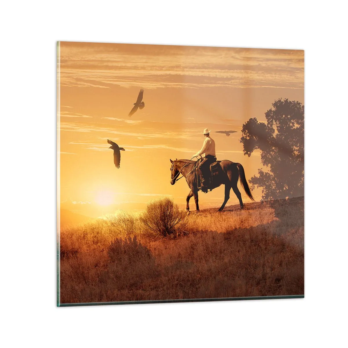 Schilderen op glas - Alleen over de prairie - 60x60 cm