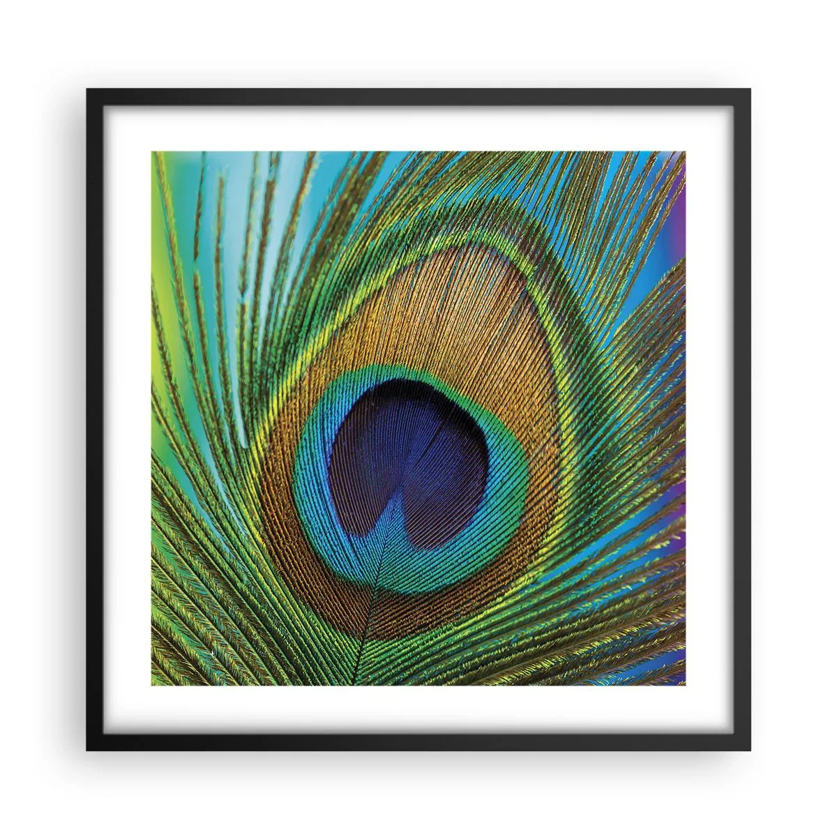 Poster in een zwarte lijst - Oog in oog - 50x50 cm
