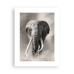 Poster - Afrikaanse patriarch - 30x40 cm