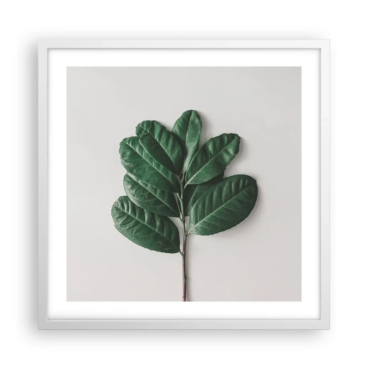 Poster in een witte lijst - Een tekening van de pure natuur - 50x50 cm