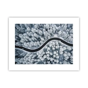 Poster - Door het winterbos - 40x30 cm