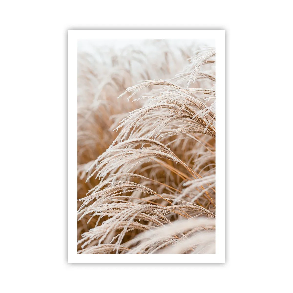 Poster - Buig je neer voor de herfstzon - 61x91 cm