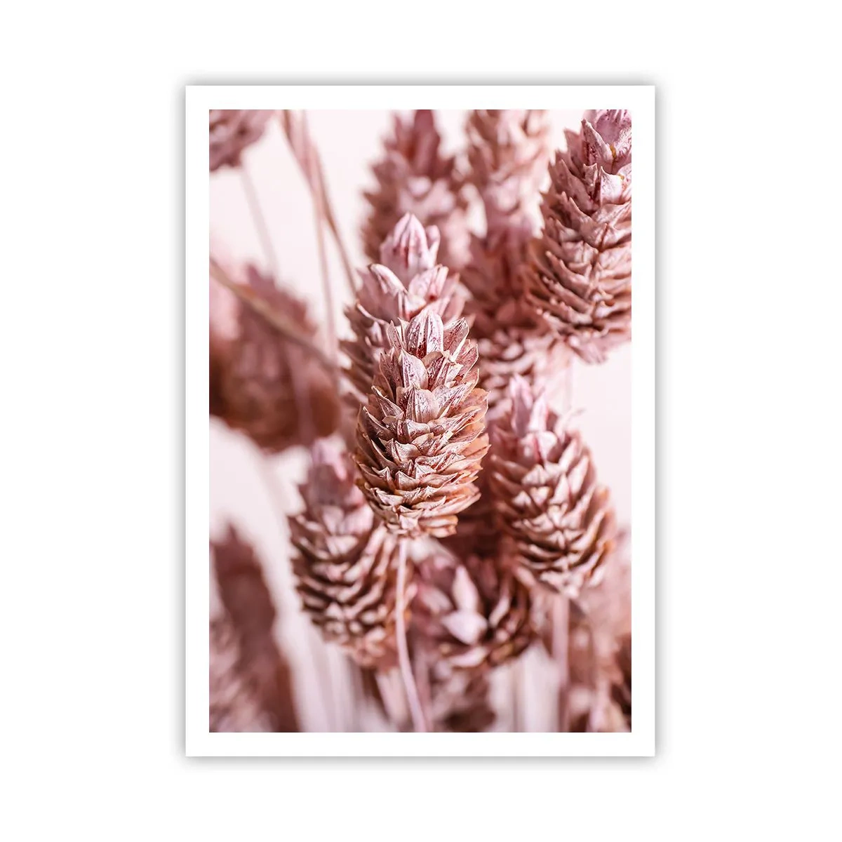 Poster - Schijnbaar onopvallend - 70x100 cm