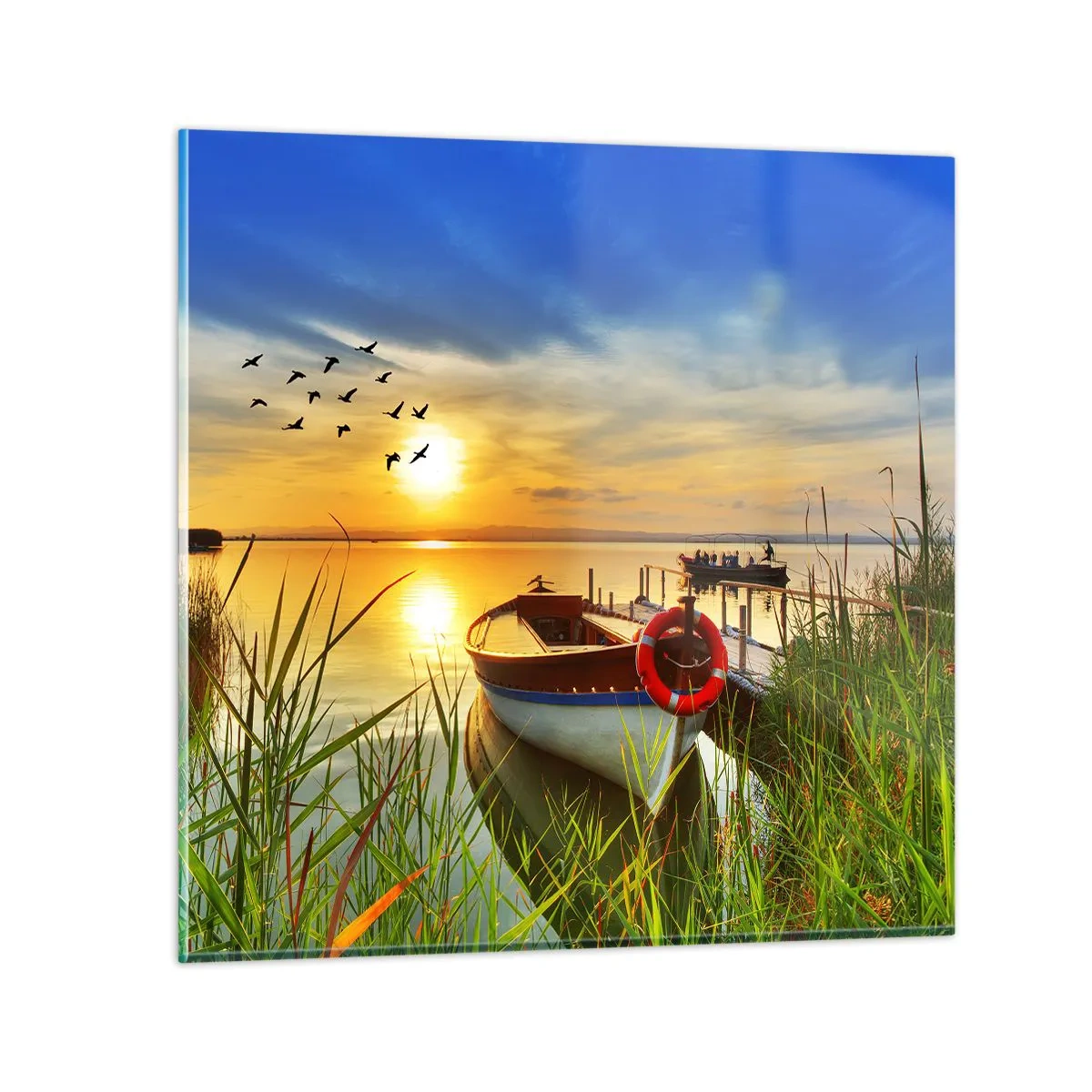 Schilderen op glas - De aalscholvers vliegen al weg - 50x50 cm