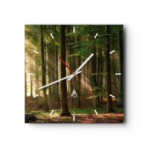 Wandklok - Klok - Stralend op een lentemorgen - 30x30 cm