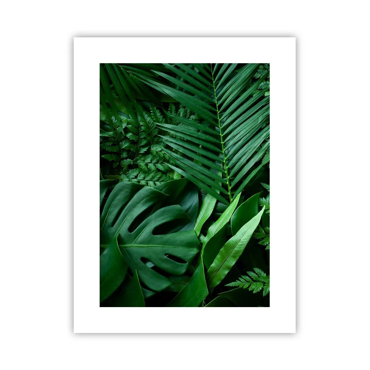 Poster - Ineengedoken in het groen - 30x40 cm