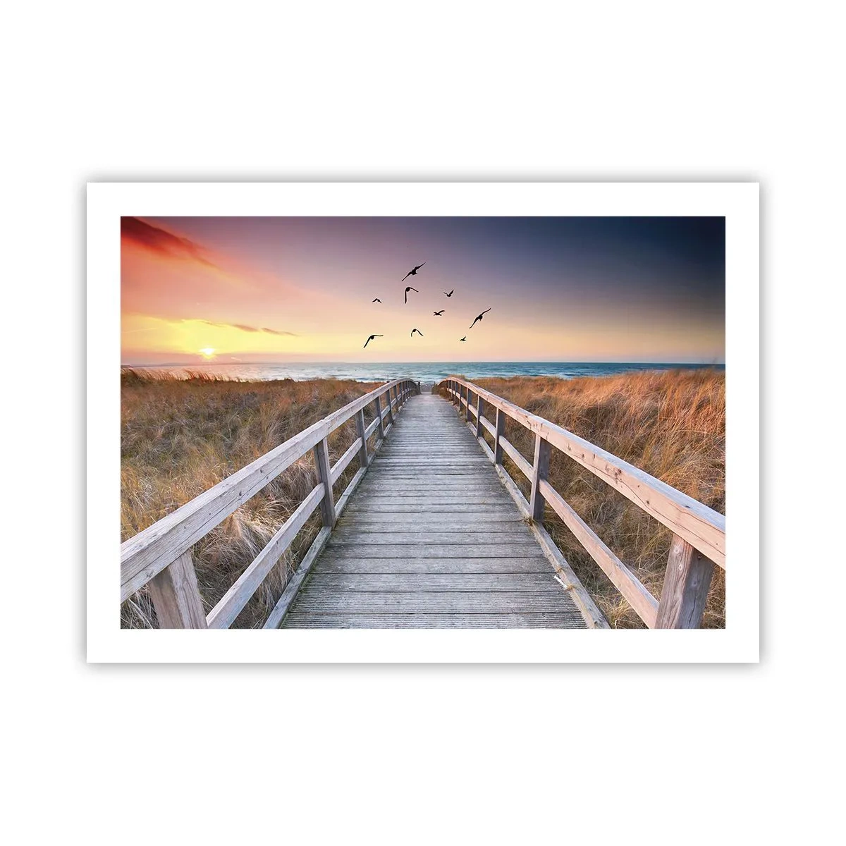 Poster - De ruimte voor opvliegen - 70x50 cm