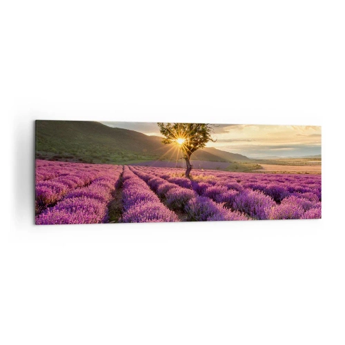 Schilderen op canvas - Lila gekleurd aroma - 160x50 cm