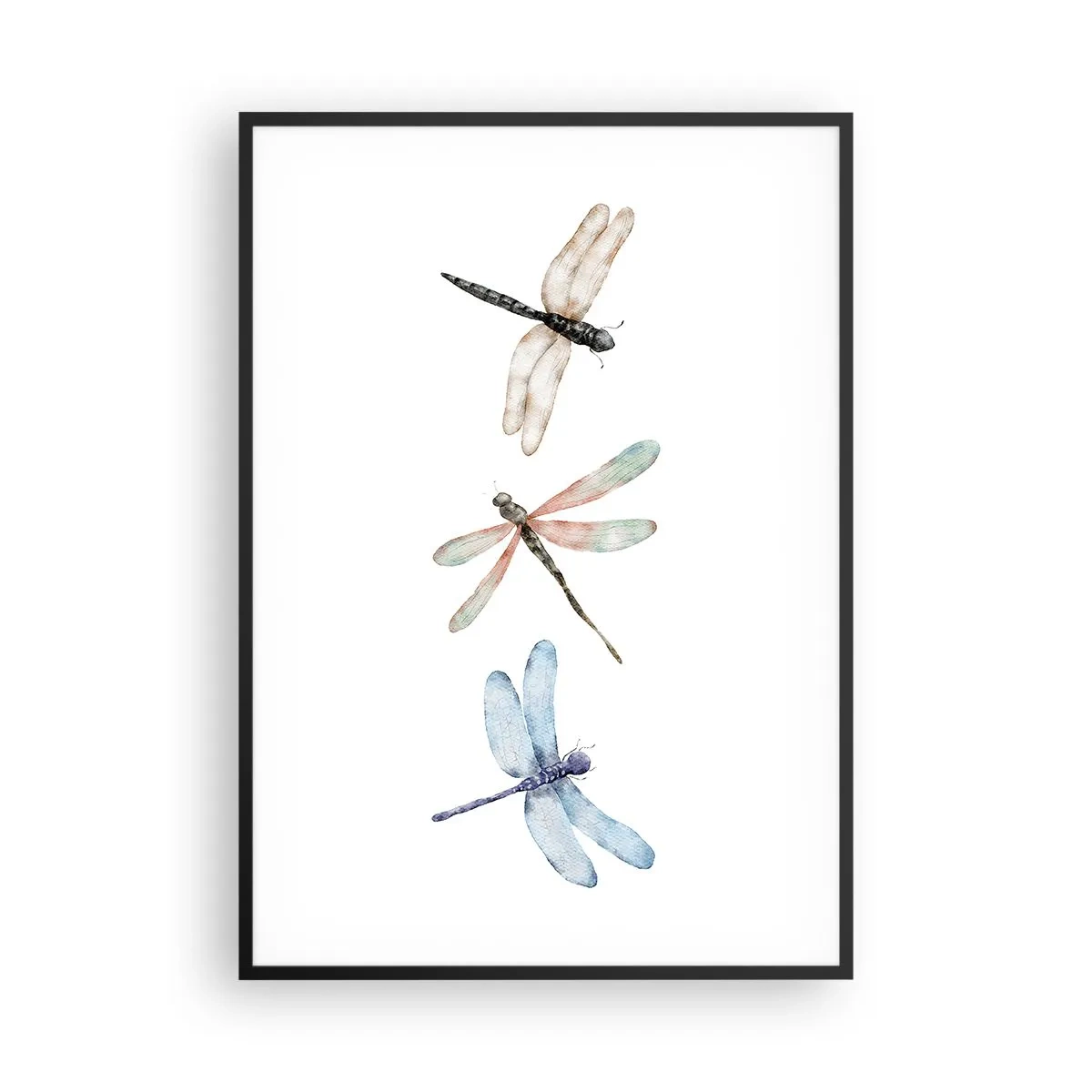 Poster in een zwarte lijst - Gewichtloze libellen - 70x100 cm