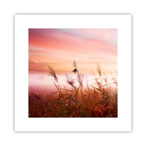 Poster - Vliegers, paardebloemen, wind - 30x30 cm