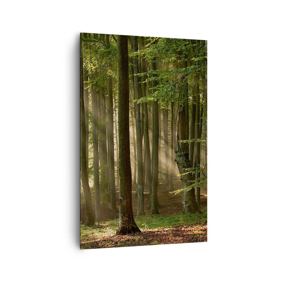 Schilderen op canvas - Stralend op een lentemorgen - 80x120 cm