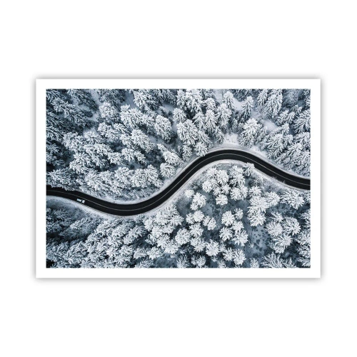 Poster - Door het winterbos - 100x70 cm
