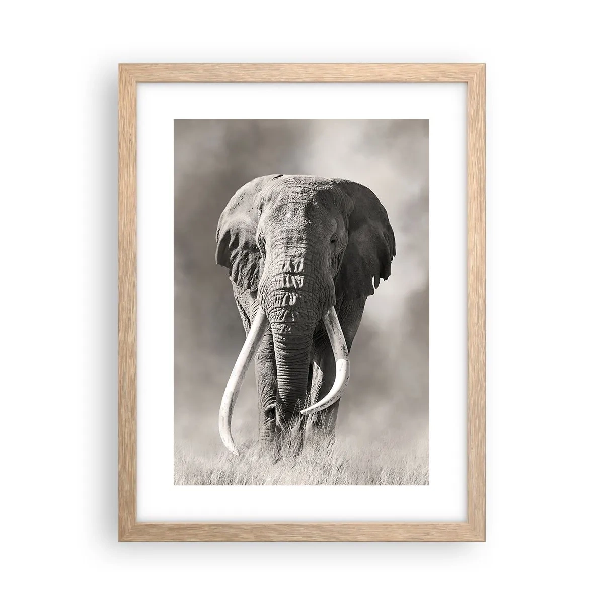 Een poster in een licht eiken lijst - Afrikaanse patriarch - 30x40 cm