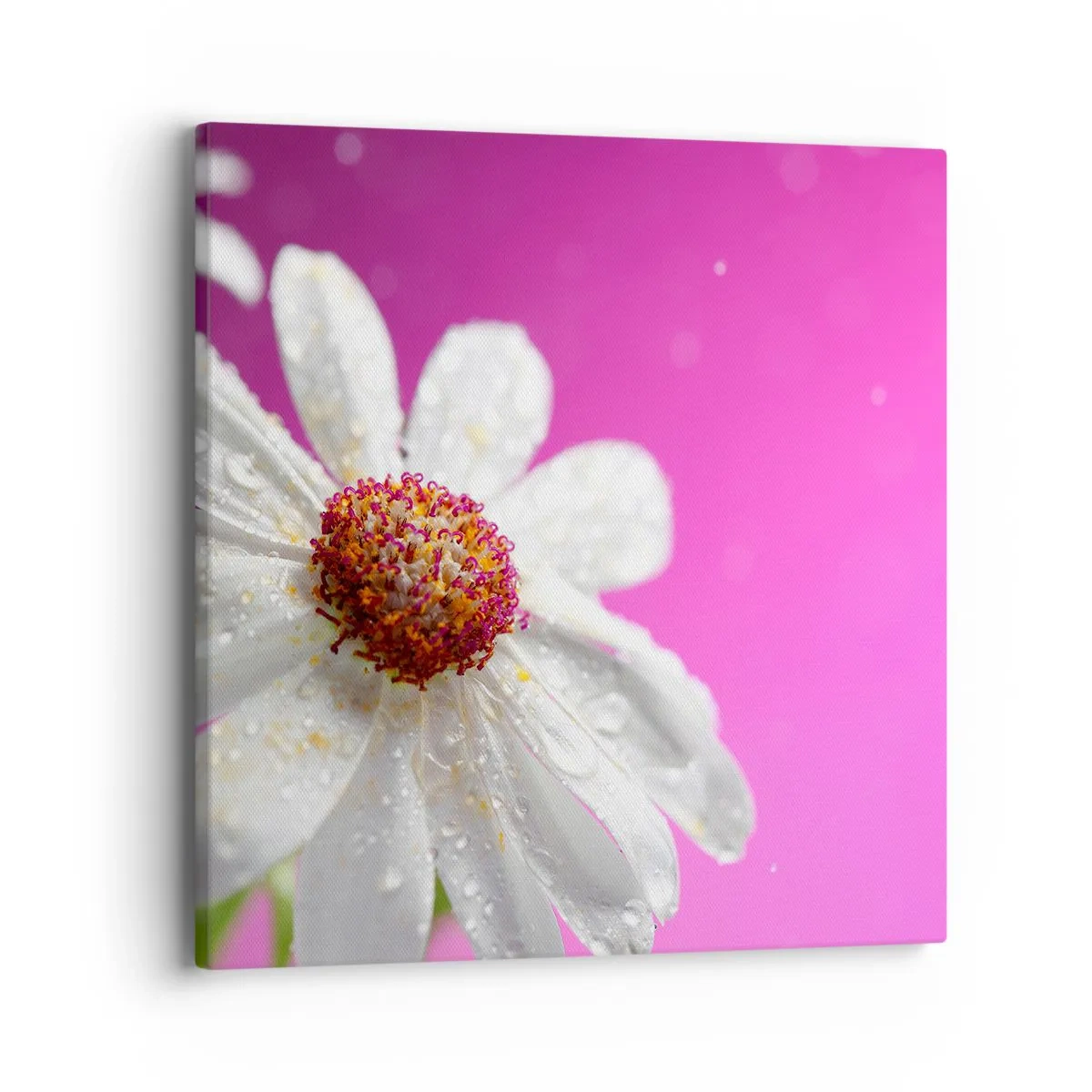 Schilderen op canvas - Bescheiden in zijn schoonheid - 40x40 cm