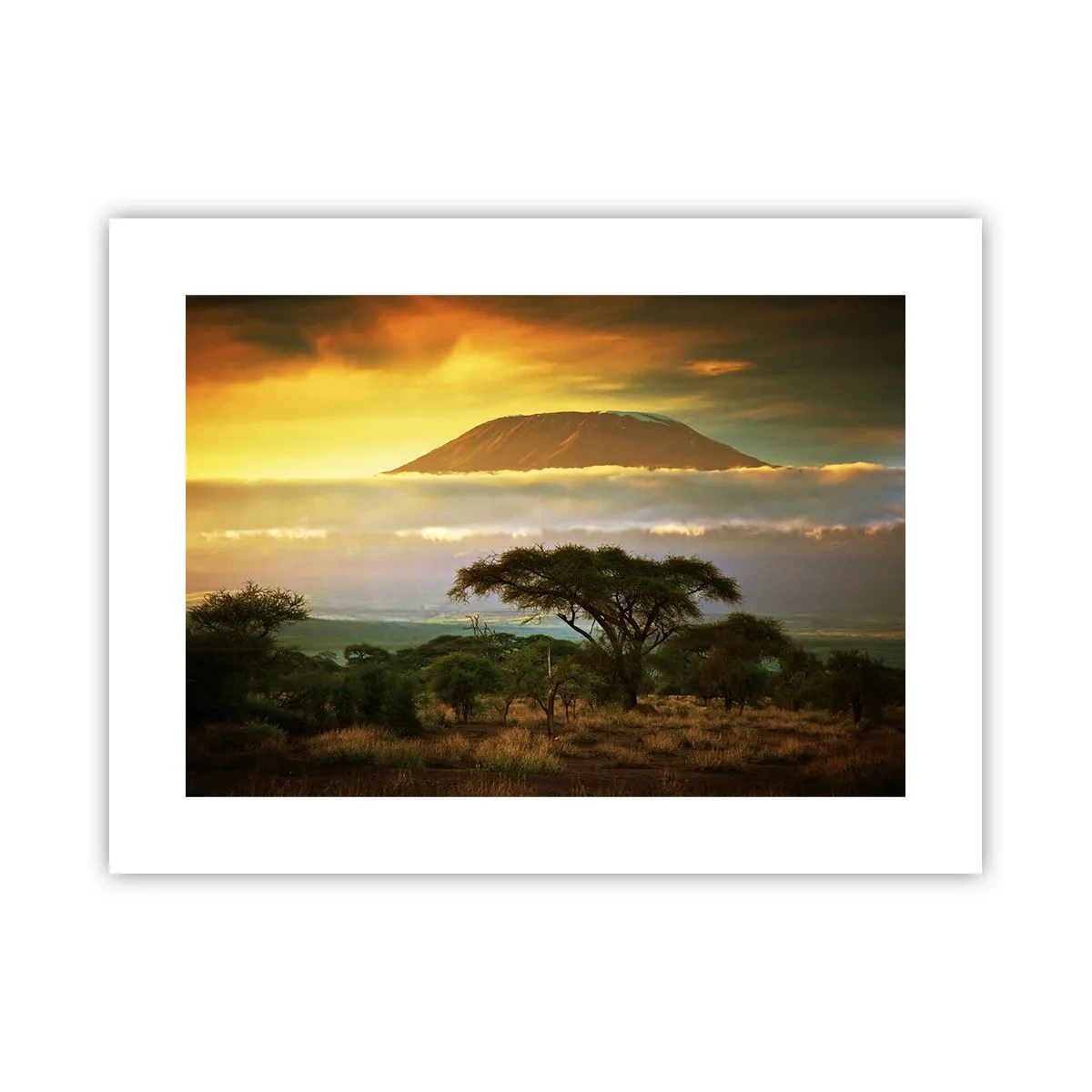 Poster - Een reizigersdroom - 40x30 cm
