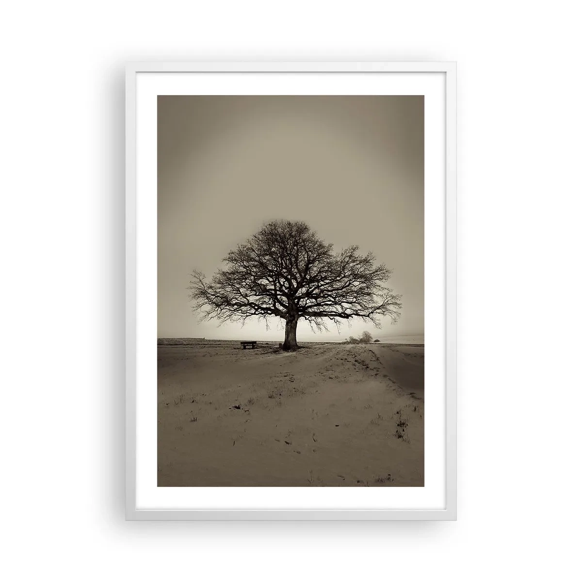 Poster in een witte lijst - Van hier tot in de eeuwigheid - 50x70 cm