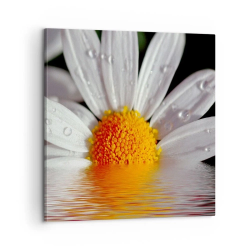 Schilderen op canvas - De rijzende zon van madeliefjes - 60x60 cm