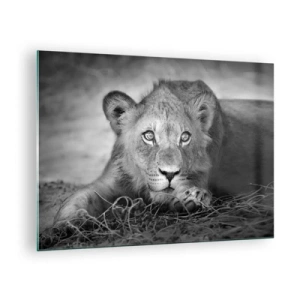 Schilderen op glas - Een leeuwenwelp in zwart-wit die in de camera staart - 70x50cm - Koninklijke puppy - Moderne wanddecoratie voor woonkamer en slaapkamer ARTTOR