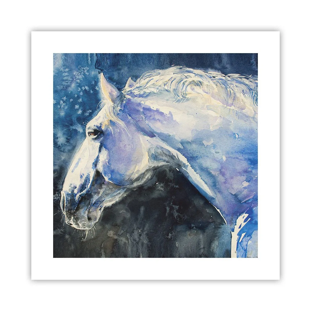 Poster - Portret in een blauwe gloed - 40x40 cm
