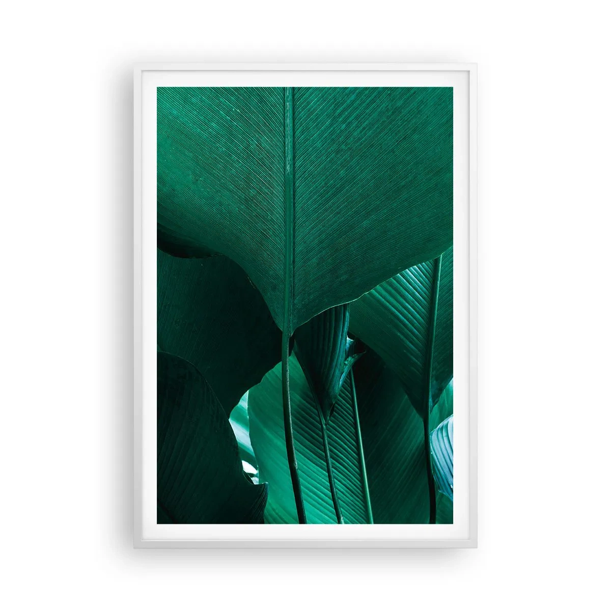 Poster in een witte lijst - Naar het licht gekeerd - 70x100 cm