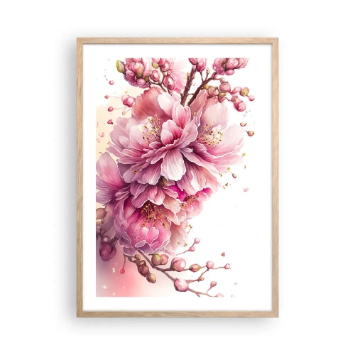Een poster in een licht eiken lijst - Kersenbloesem  - 50x70 cm