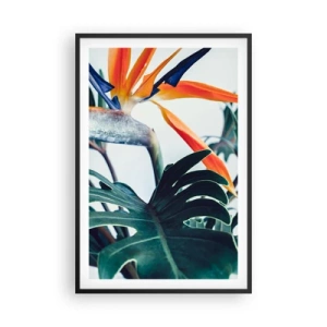 Poster in een zwarte lijst - Vogelstruik - 61x91 cm