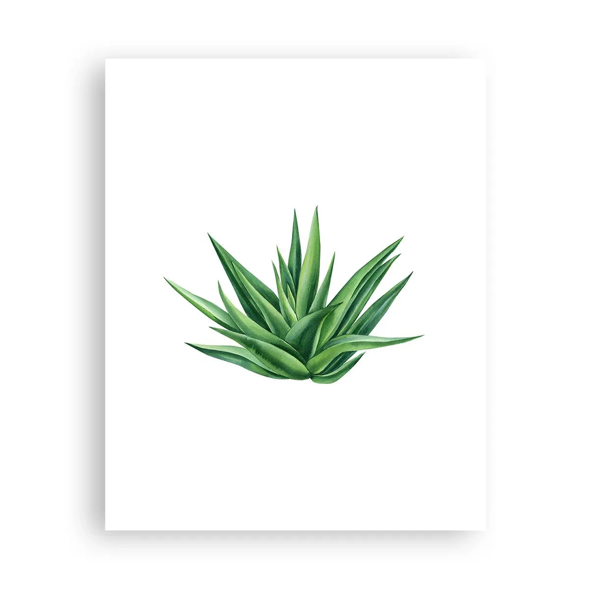 Poster - Groen – kracht – leven - 40x50 cm