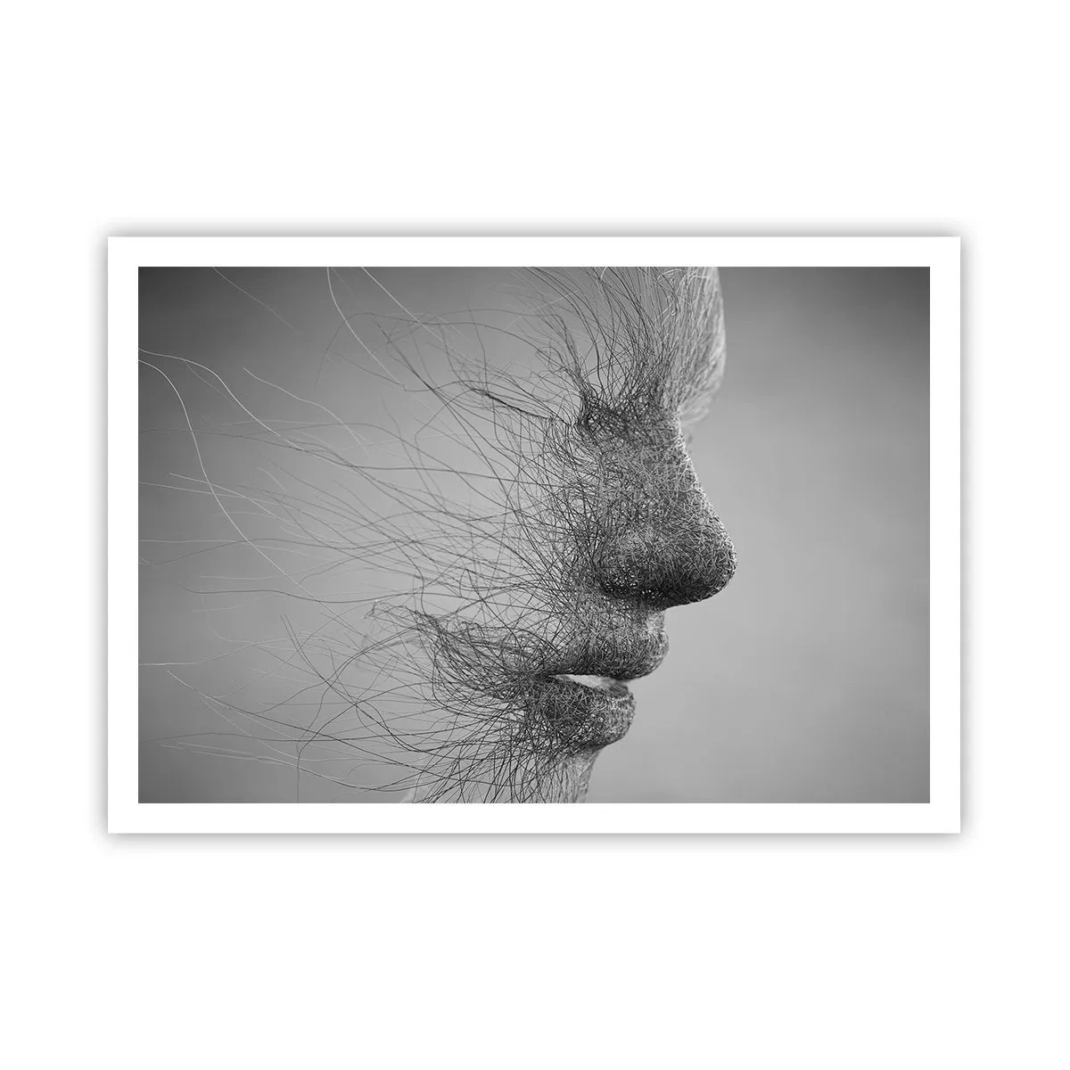 Poster - De geest van de wind - 100x70 cm