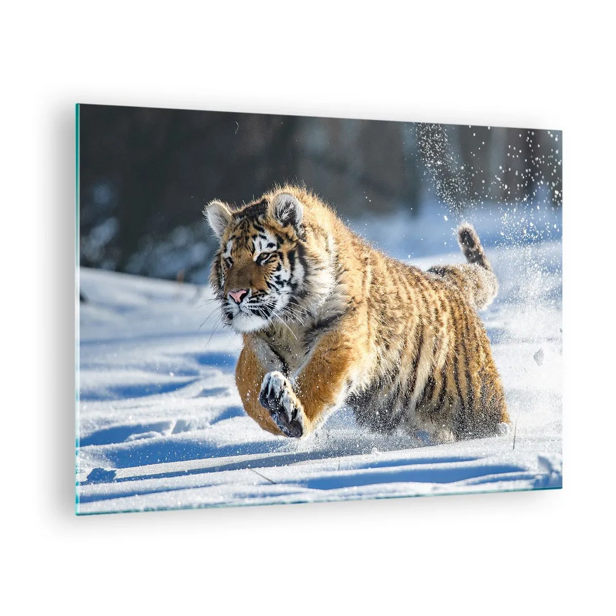 Schilderen op glas - Een Siberische tijger rent door de sneeuw in een winterlandschap. - 70x50cm - God van de Siberische taiga - Moderne wanddecoratie voor woonkamer en slaapkamer ARTTOR